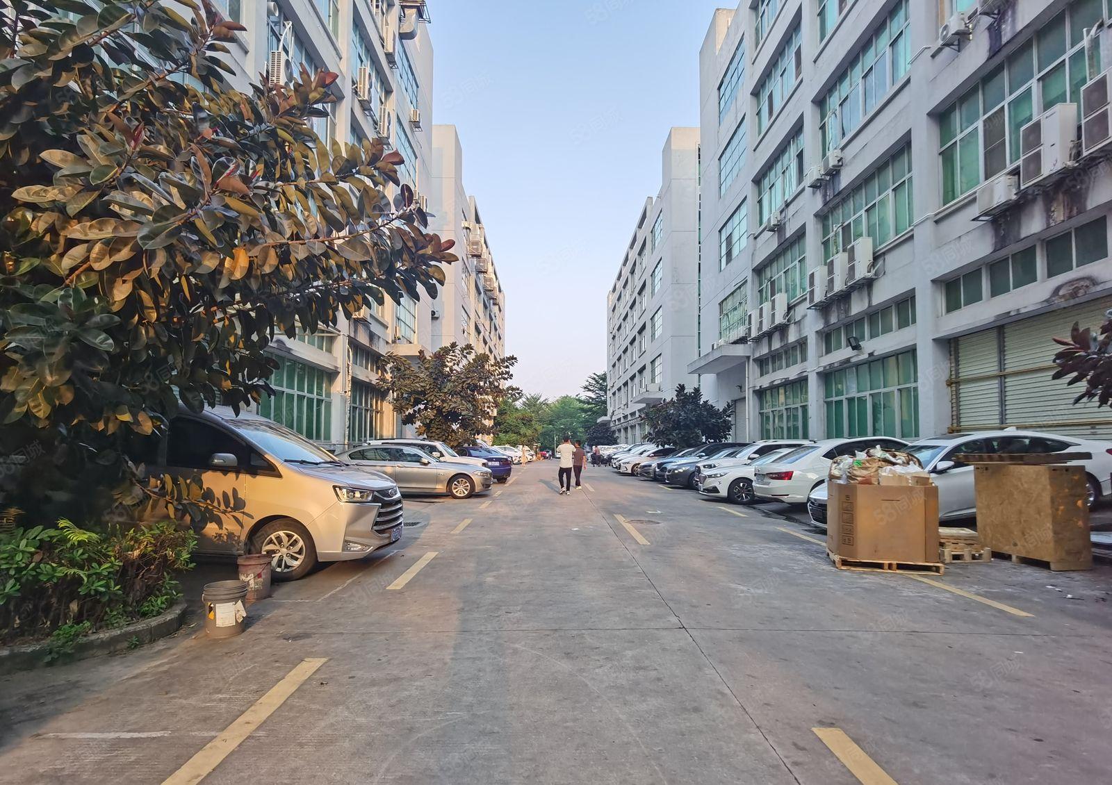 龙岗同乐一手房东！新出1800平米厂房仓库出租  带卸货平台