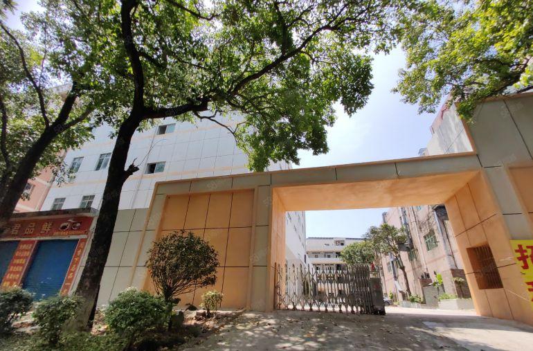 合同可签十年龙岗宝龙同乐原房东独门独院8000平红本厂房出租