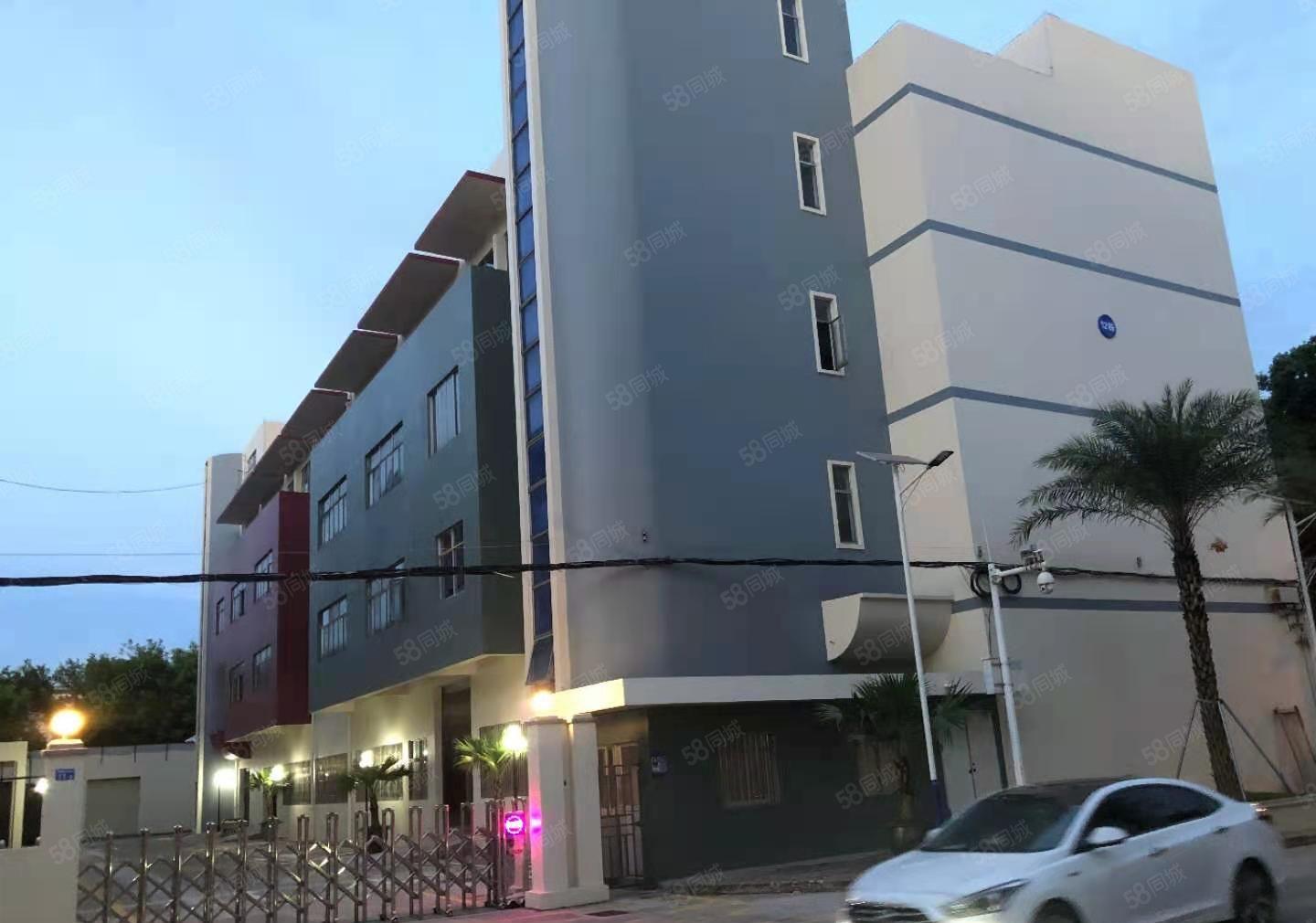 龙岗独门独院厂房出租6500平共8套坪地同乐坪山20元一平