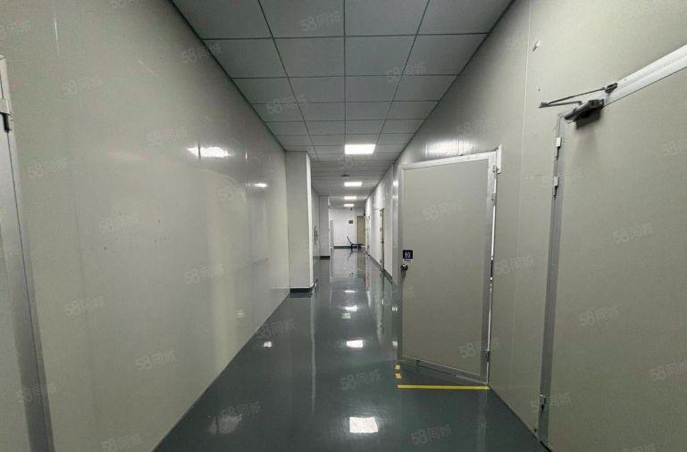 坂田地铁口 原房东带装修无尘车间1200平厂房出租