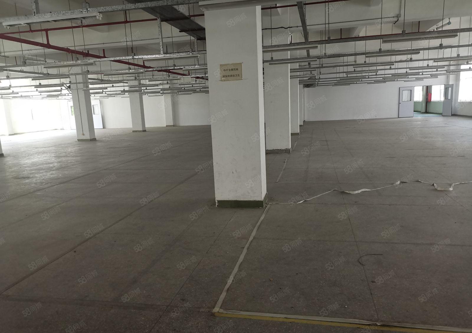 横岗六约新出楼上1500平厂房形象好位置方便300平起分租