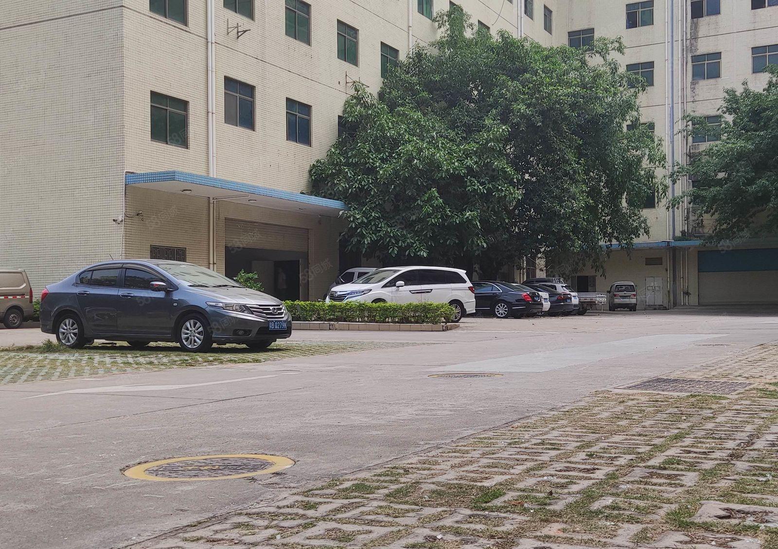 龙岗天安数码城  附近楼办公仓库  600平米 出租