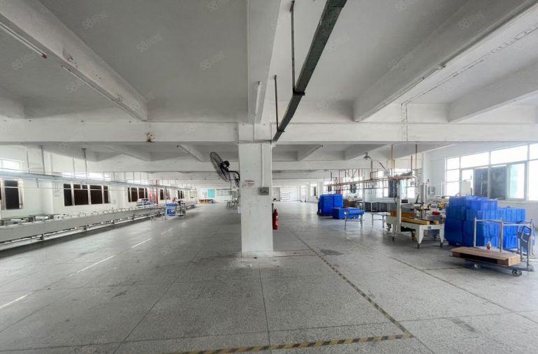宝龙6000平独院厂房出租主干道边全新装修。