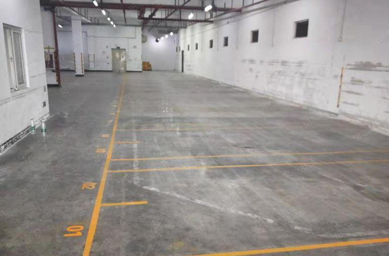 平湖附近仓库直租，可分租，海运集货仓.可提供装卸等配套服务。