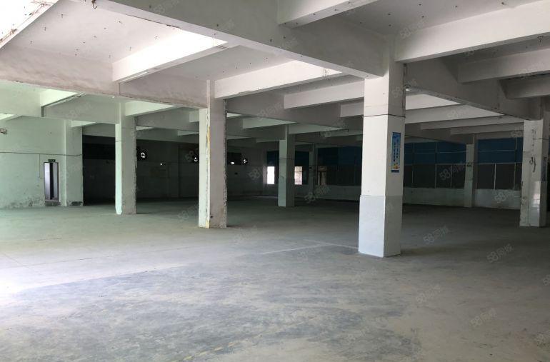 平湖海吉星附近原房东独院厂房5680平