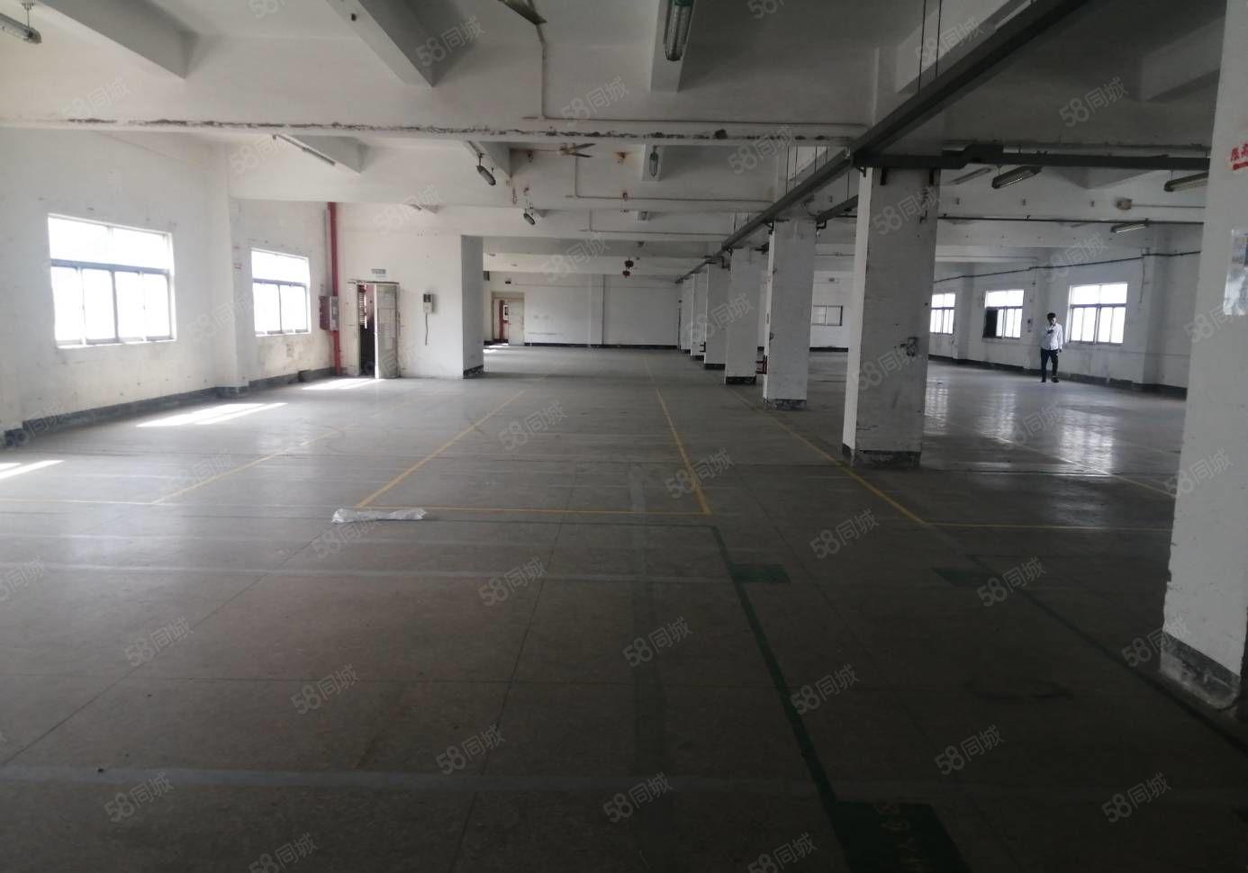 300平起租坂田原房东8500平独栋厂房 水电齐全 空地大