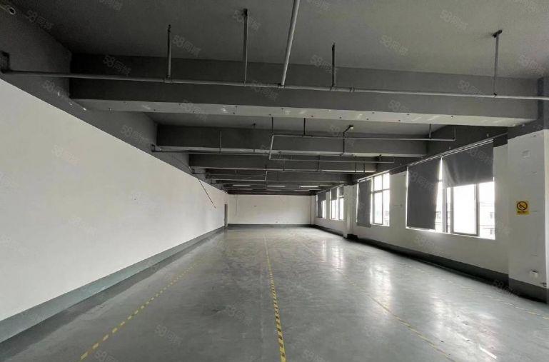 房东直租标准厂房2000平米可分租带20台充电桩车位充足