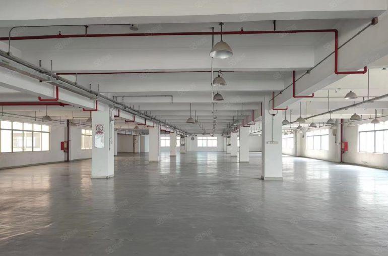 龙岗办公贸易电商厂房仓库加工及研发2000平出租