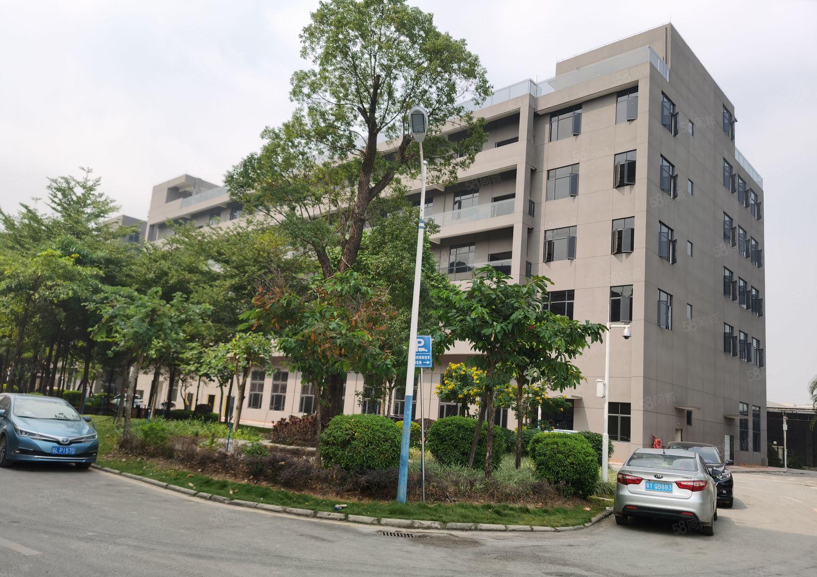 坂田上雪科技园500平1千平2000平厂房仓库租28空地大