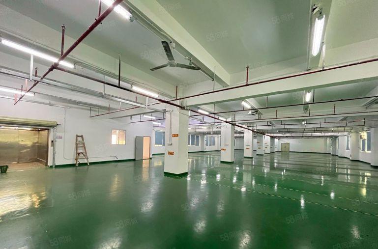 （厂房出租）岗头厂房3楼面积1200平出租户型方正采光好