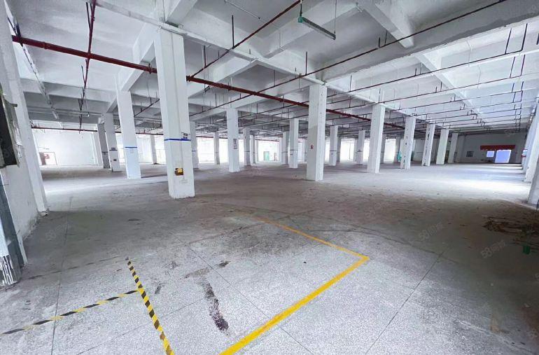 深圳龙岗原房东红本厂房低价出租