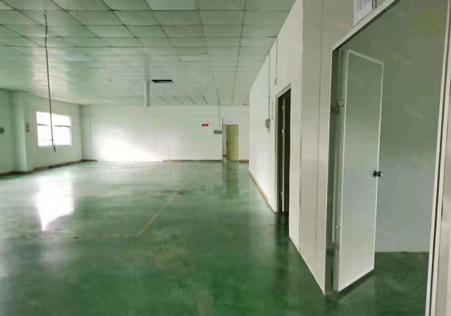 龙岗南联小面积厂房200平300平500平800平出分租