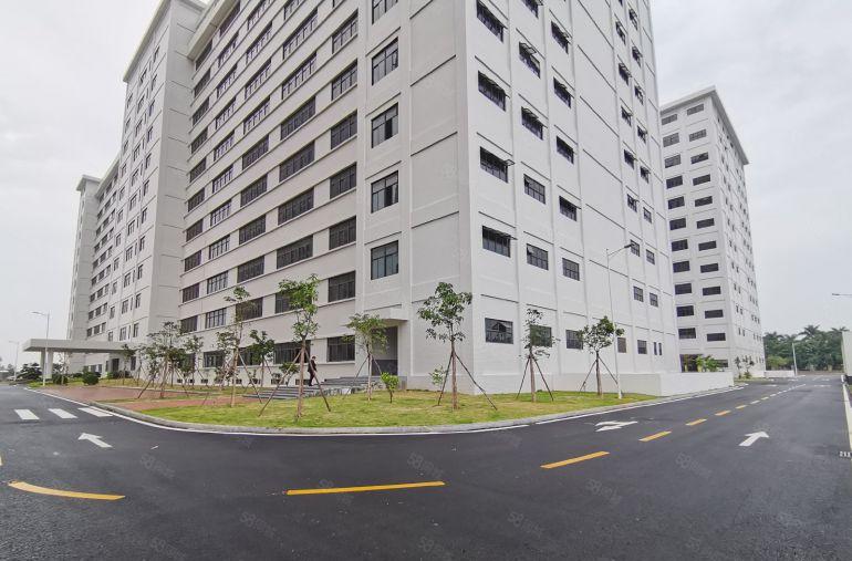 （租）横岗大型产业园原房东出租免租期12个月起 研发办公仓库