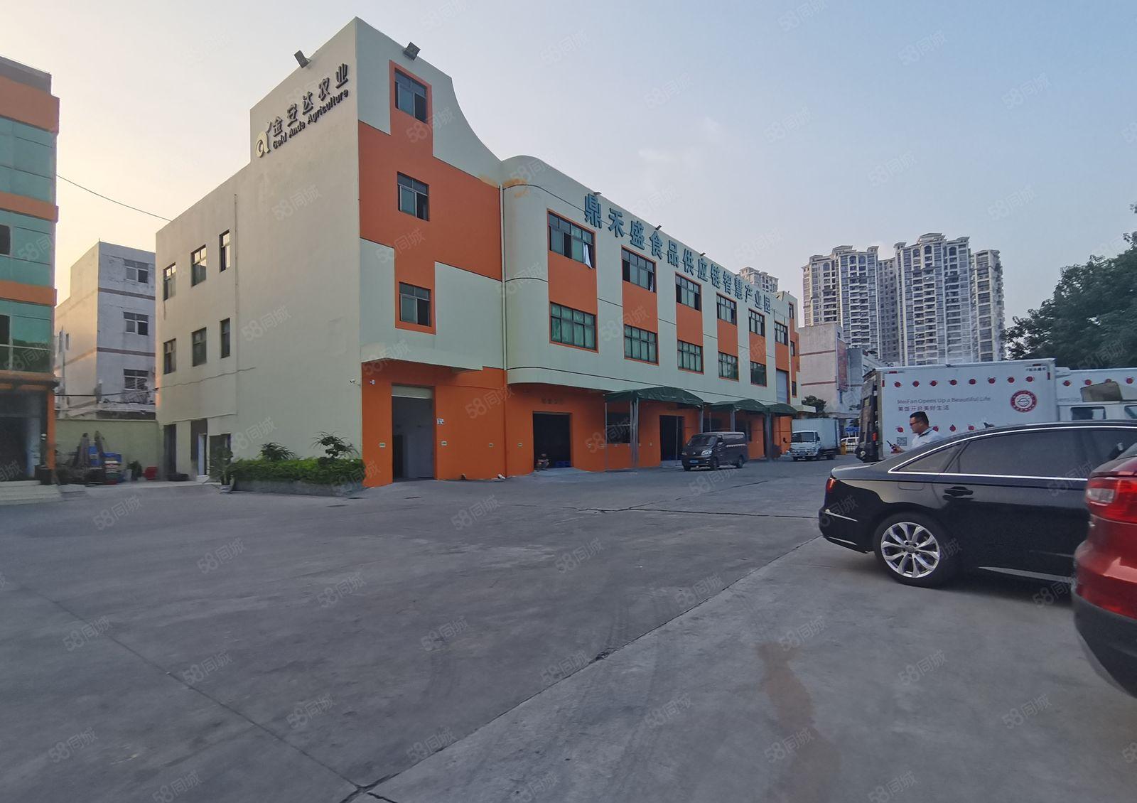 平湖白泥坑一楼1500平标准冷库冻库仓库厂房出租可分租空地大