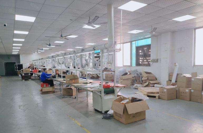 原房东直租龙岗新生楼上1300平带精装修厂房出租3百平起分租