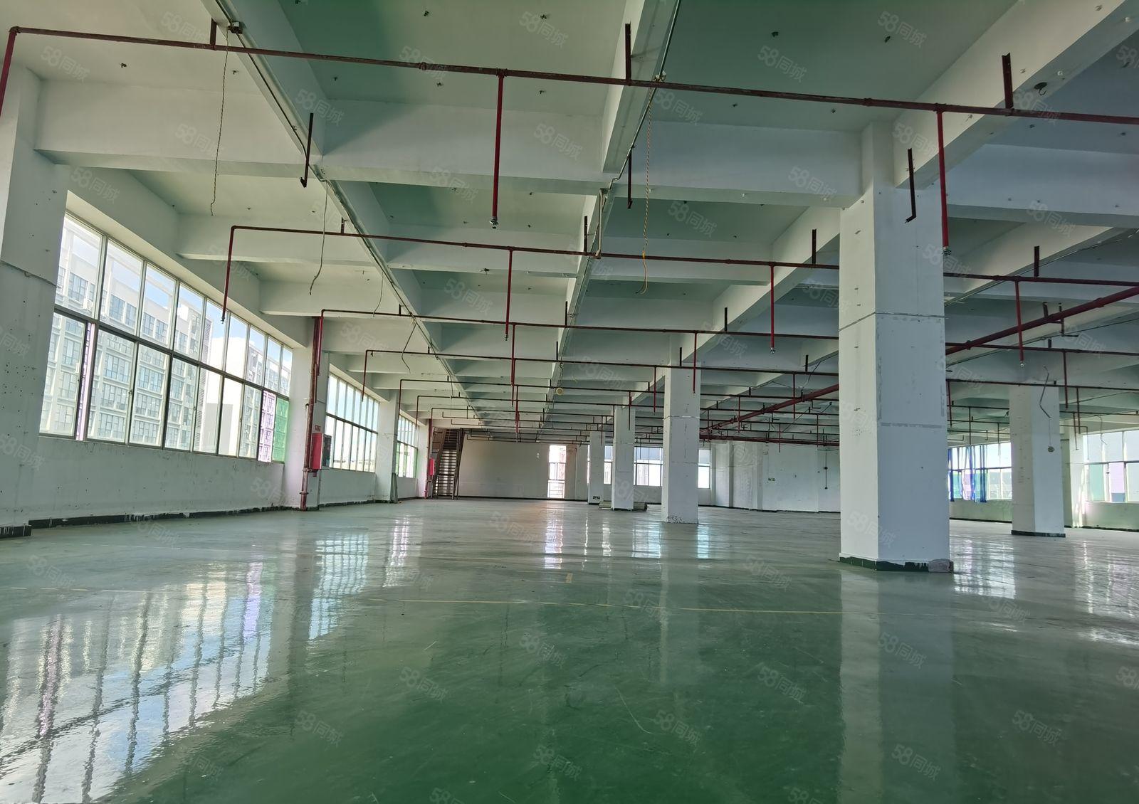 15元起！1000平起分租！坪地富民工业区2200平厂房出租