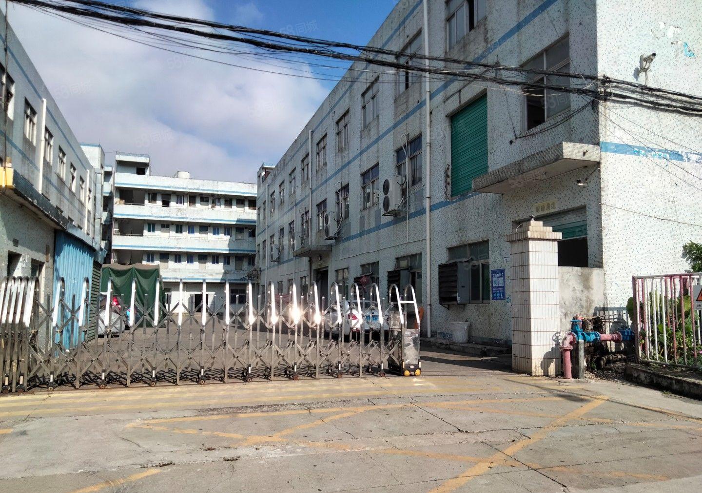 （出租）龙岗区吉祥地铁口原房东独门独院红本精装修大小分租