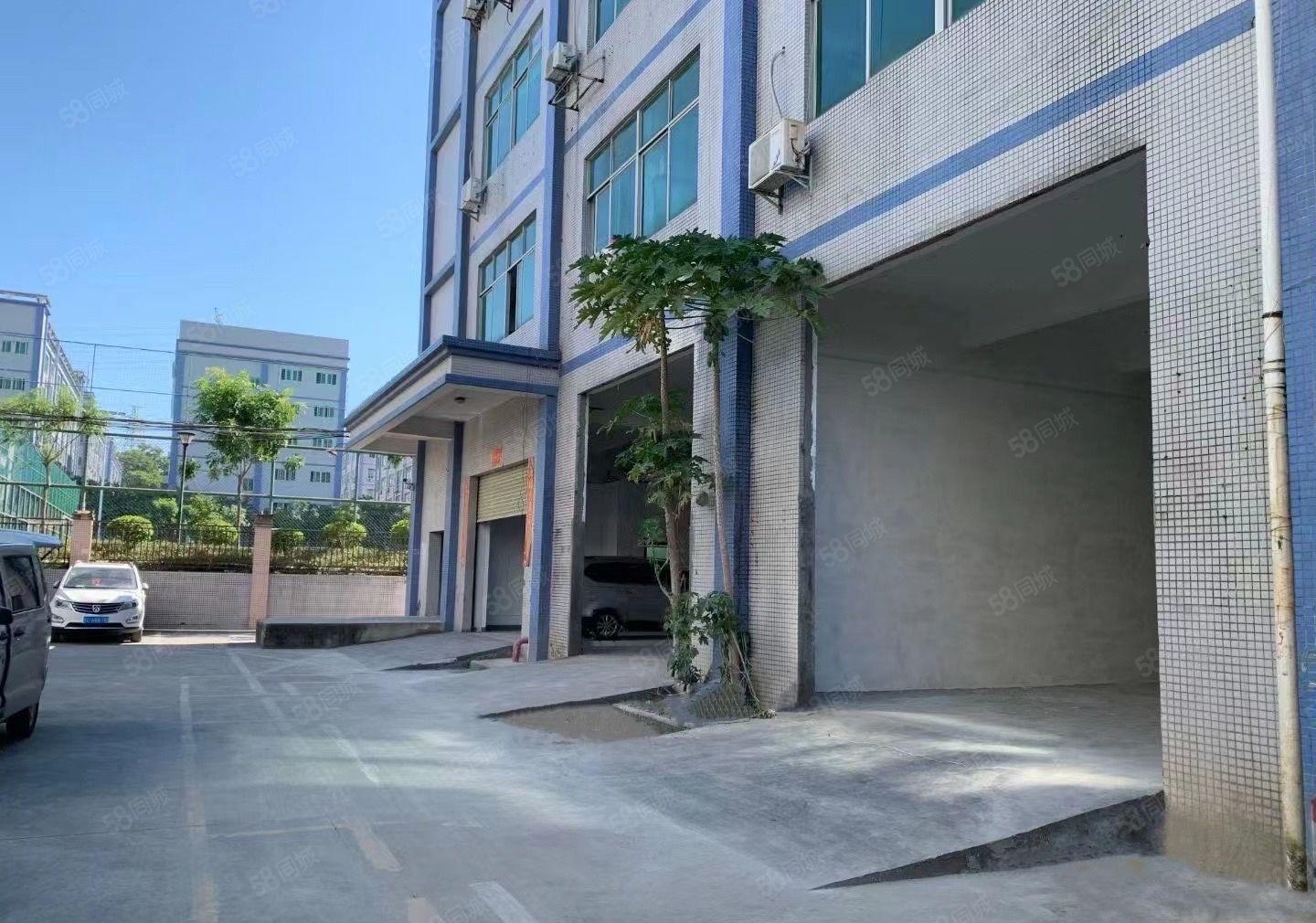 电商物流优先！坂田工业园一楼626平，大园区配套成熟，易招工