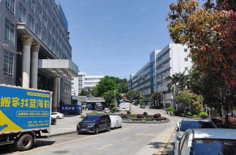 公摊小！价格美丽！坂田雪象500平办公仓库低价出租