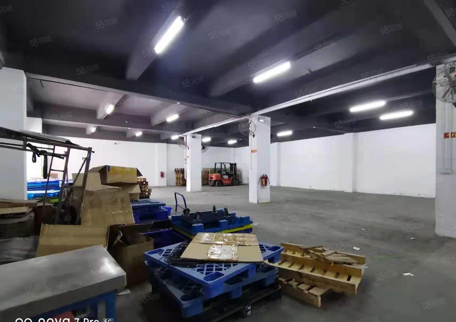 龙岗布吉坂田一楼1000平标准厂房出租