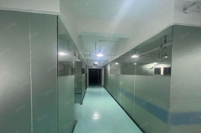 龙岗宝龙工业区新出一楼1000平无尘车间精装修办公室厂房出租