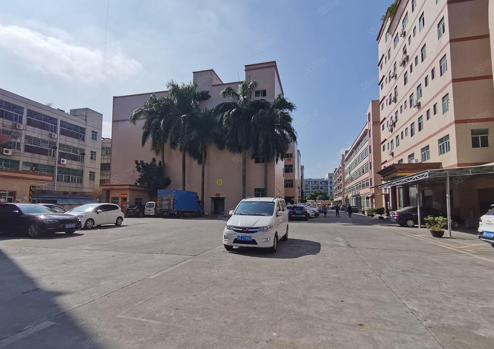 平湖杉坑工业区二楼1000平方三楼1000平方厂房 仓库出租