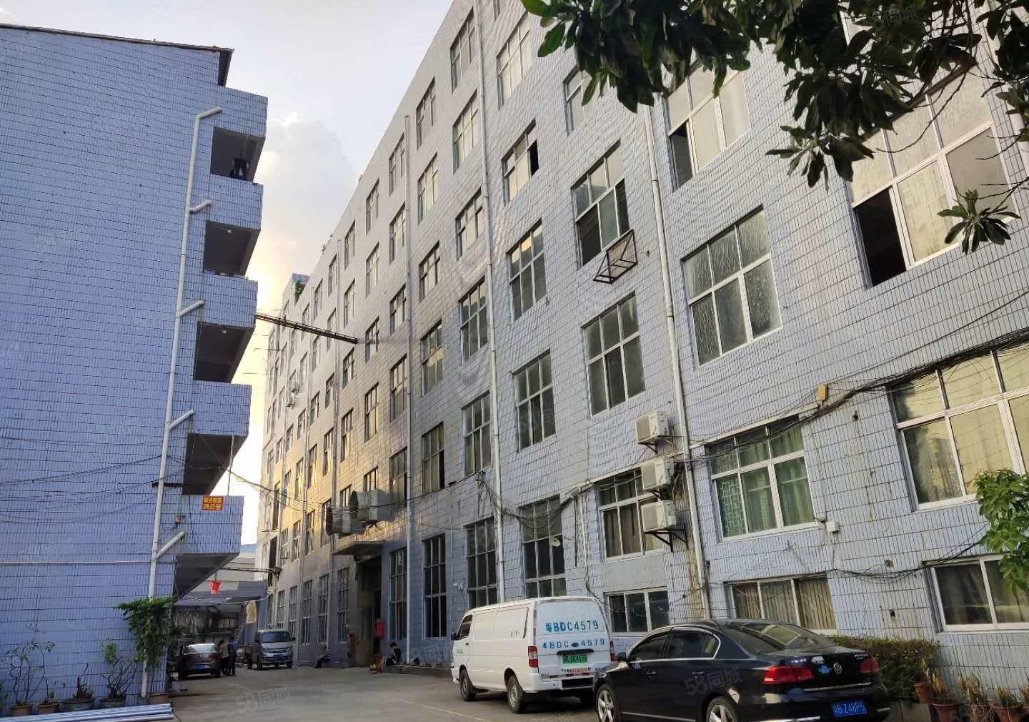 平湖原房东独院一楼2百平5百平8百平1千平仓库厂房出租可分租