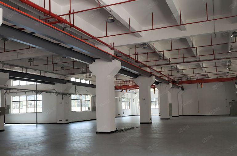 出租龙岗爱联1300平方厂房出租仓库招租