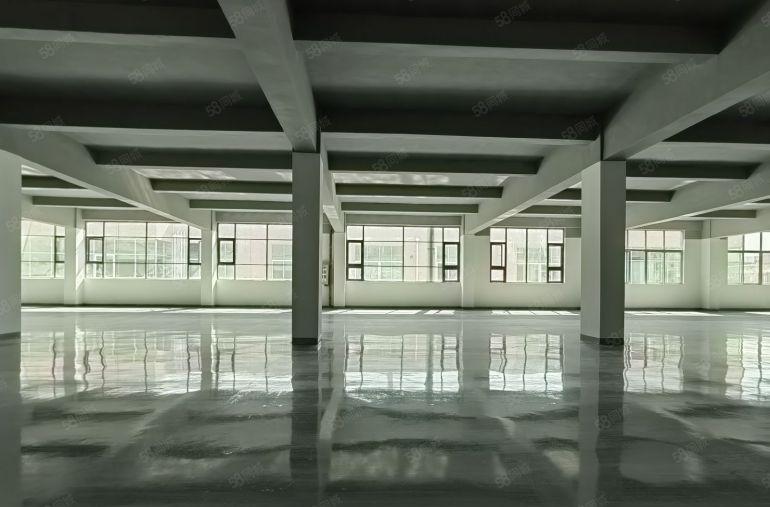 坂田五和靠福田一二楼2000平厂房出租仓库出租，200平起分