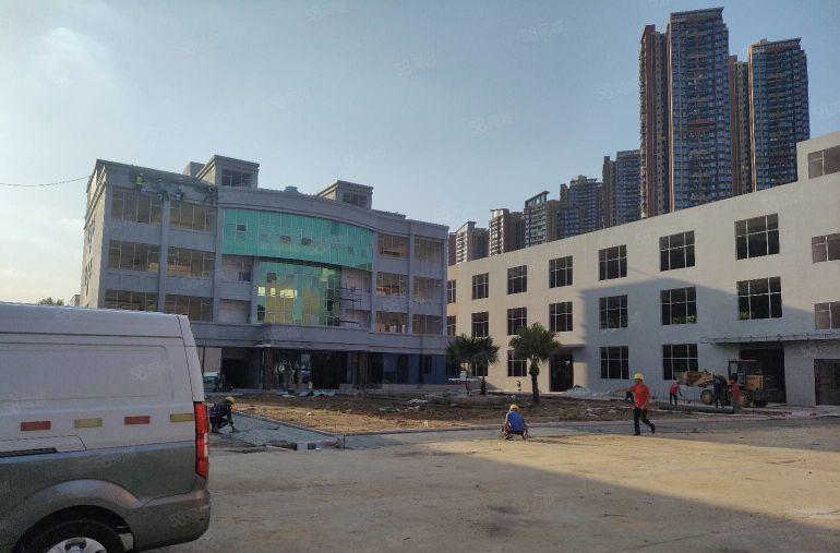 龙岗新生工业电商园1000平低价一楼厂房出租100起分租厂房