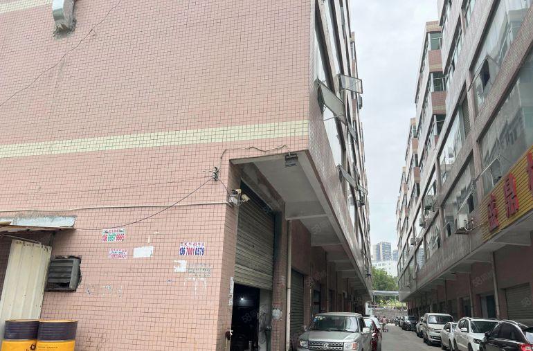 龙岗区坪地街道一楼300平带装修厂房实际面积低价出租带行车