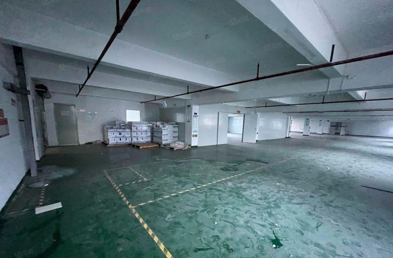 坂田杨美地铁口原房东红本厂房整层1460平方带精装修出租！