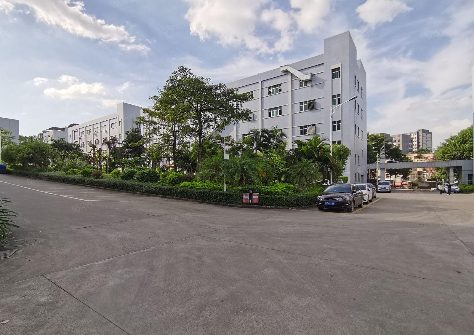 三天必租，龙岗中心城新出楼上2000平标准厂房带喷淋有红本