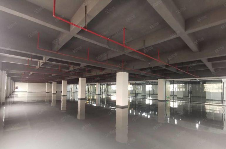 坂田岗头电商园厂房200平300平起层分租 可做办公仓库出租