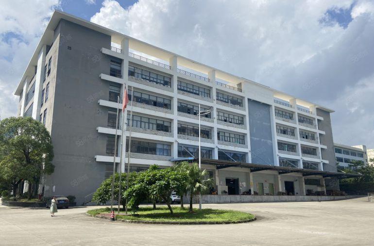 19元起村委直租横岗工业区新出1000平精装办公仓库厂房出租