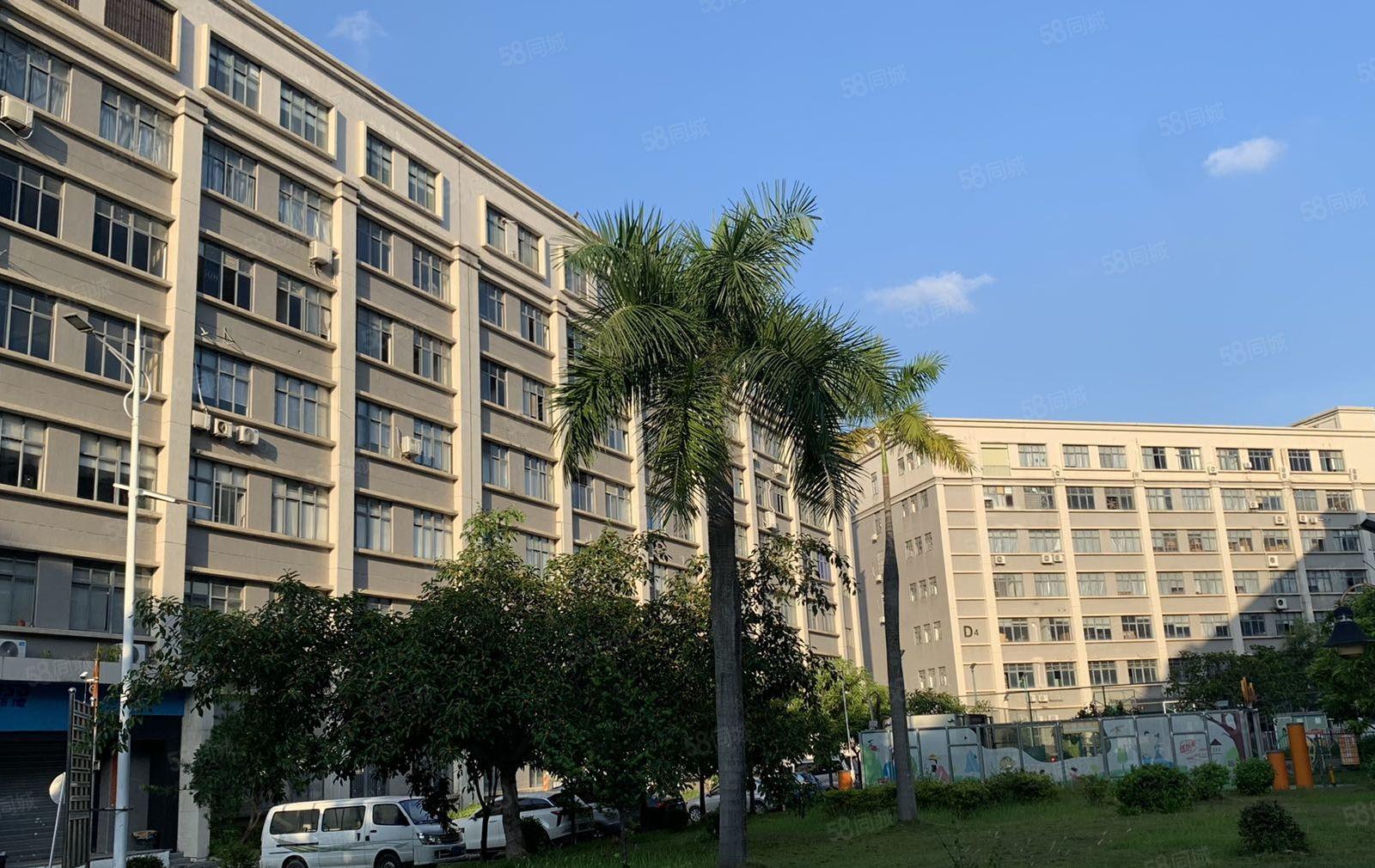 布吉2000平原房东红本大型工业园区超高使用率每栋配有3吨货