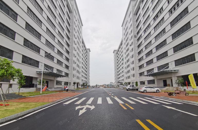 横岗大型产业园2000平厂房出租免租期12个月起研发办公仓库