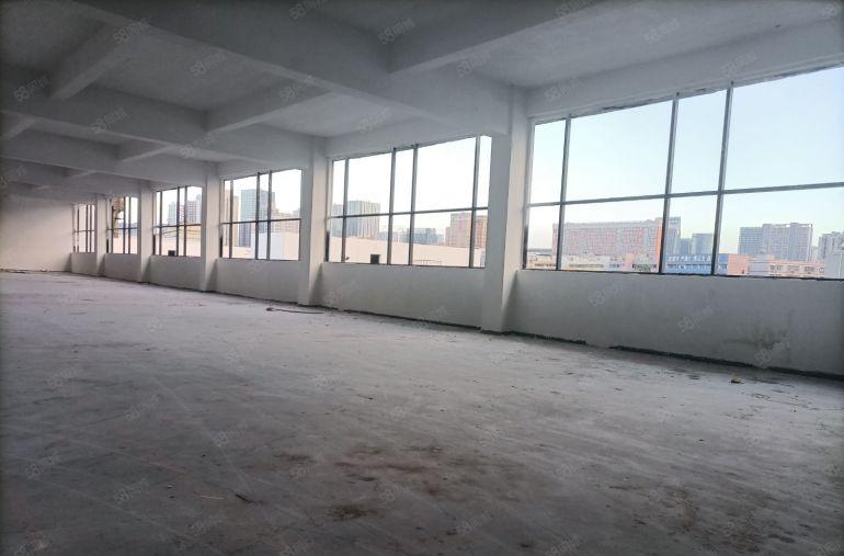 平湖电改园区，带宿舍！新装修厂房出租！