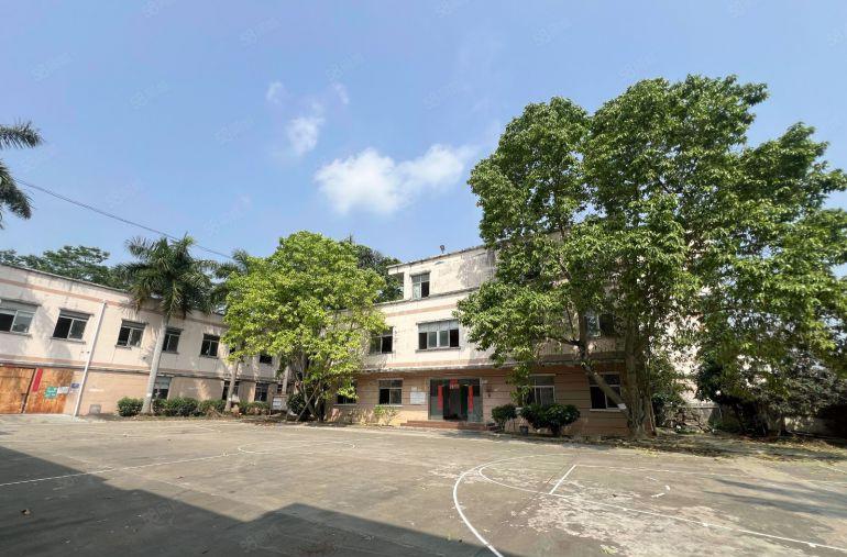 带红本可分租村委直租横岗西坑4000平方独门独院仓库厂房出租