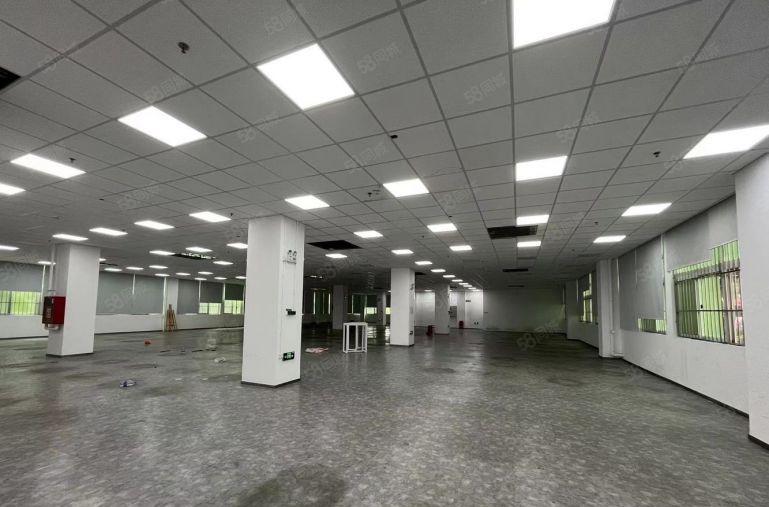 出租坂田天虹原房东红本厂房1500平带装修可申请高新补贴