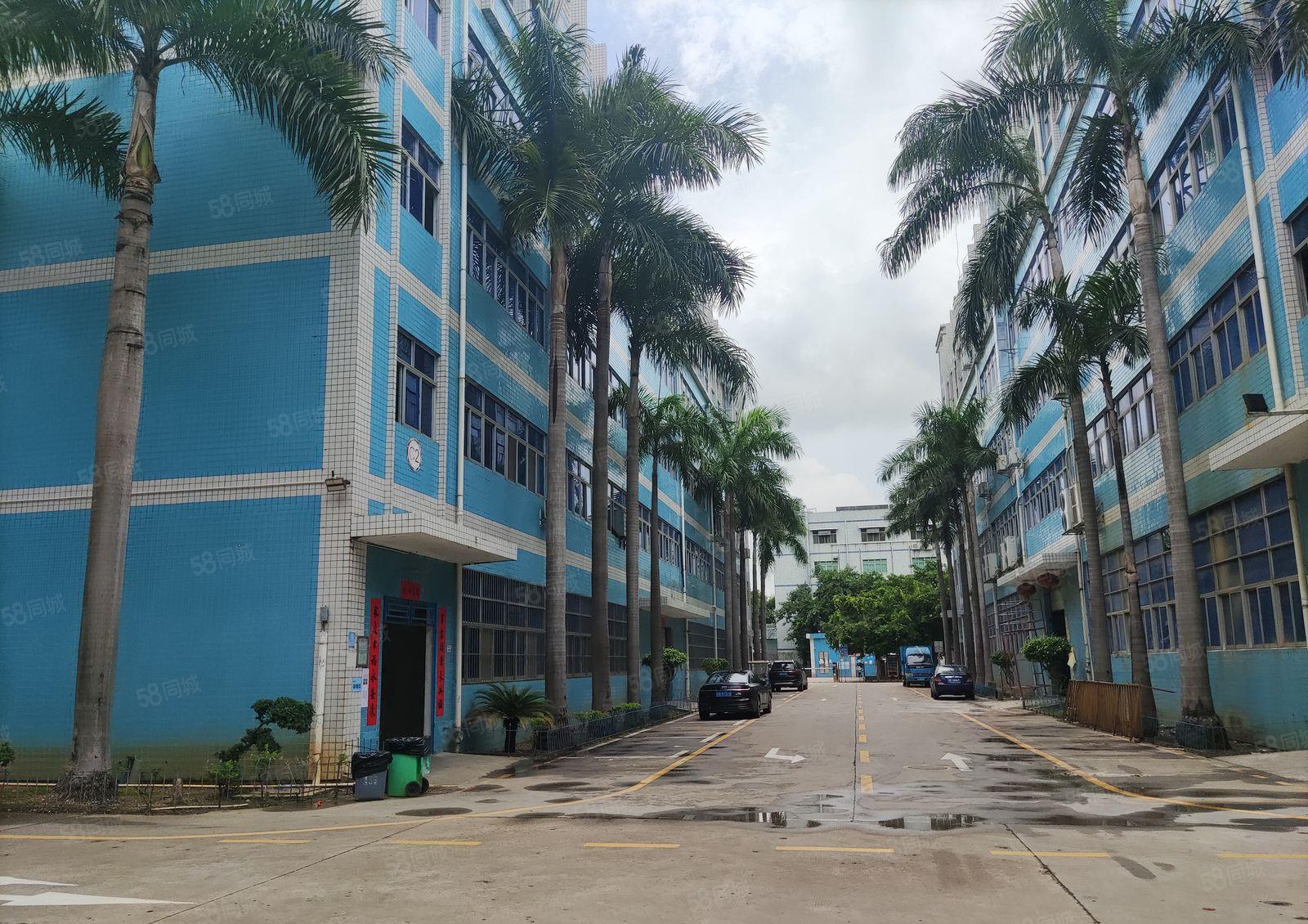 龙岗中心城原房东红本厂房仓库出租一楼2000平方