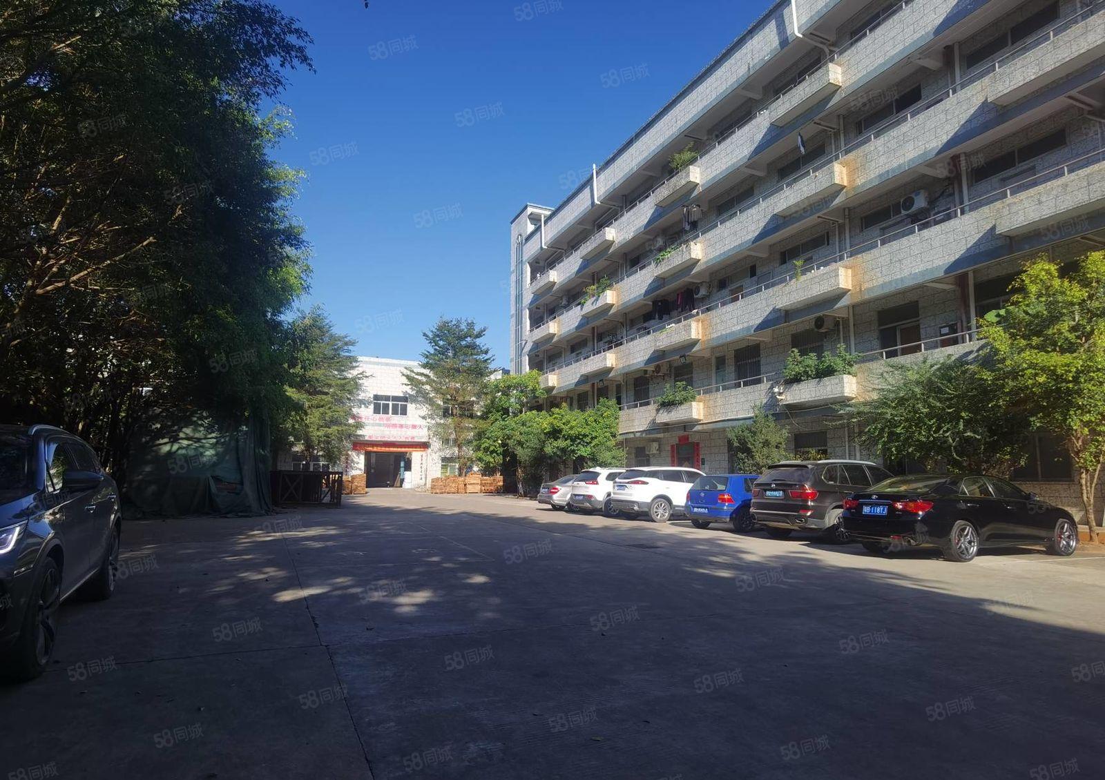 200平起分租！龙岗新生科技园新出1000平米带装修厂房出租