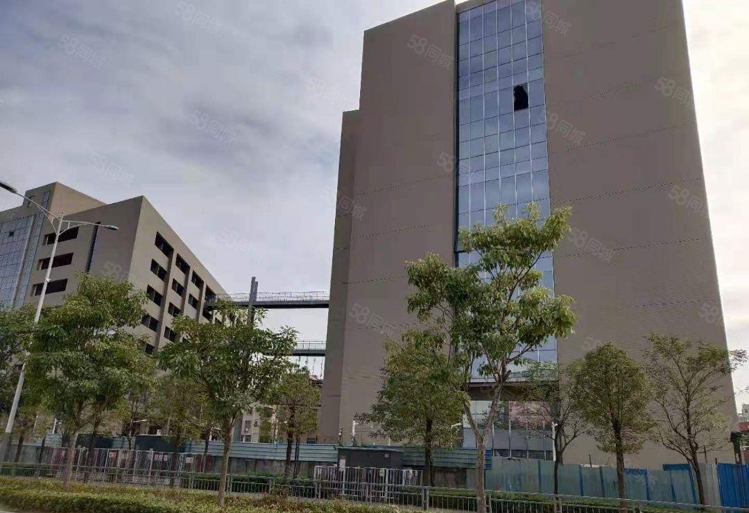 35元一楼龙岗红本独院26000平商业厂房出租每层高16米