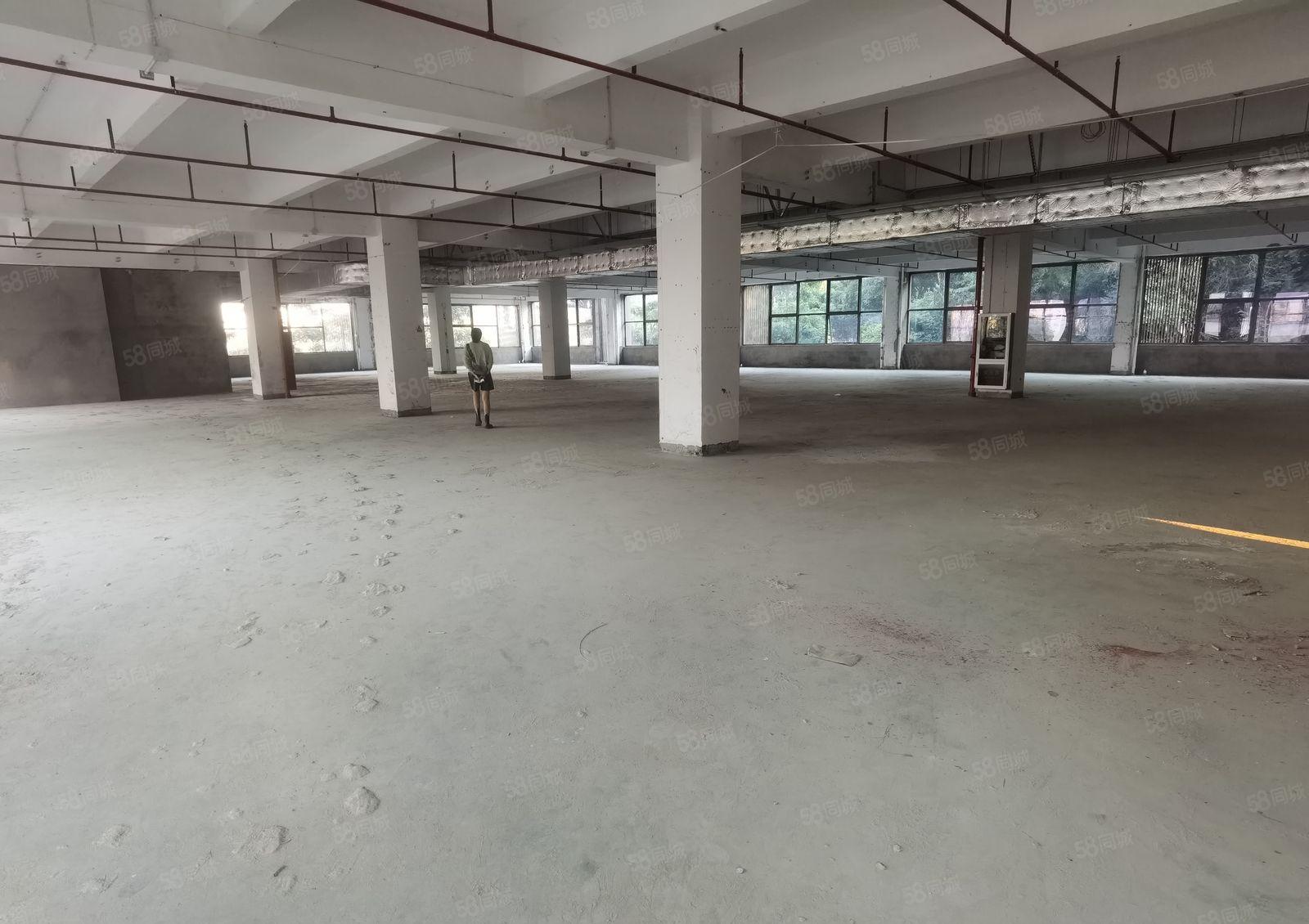 坂田原房东带红本厂房出租60000平