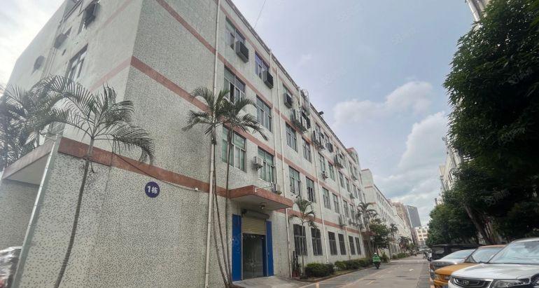 坂田原房东实际面积一层1200平厂房低价出租 带装修仓库出租