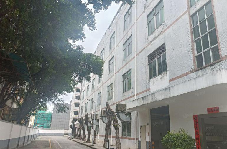 龙岗坪地坪东实际面积2200平带现成水电办公室装修地坪漆