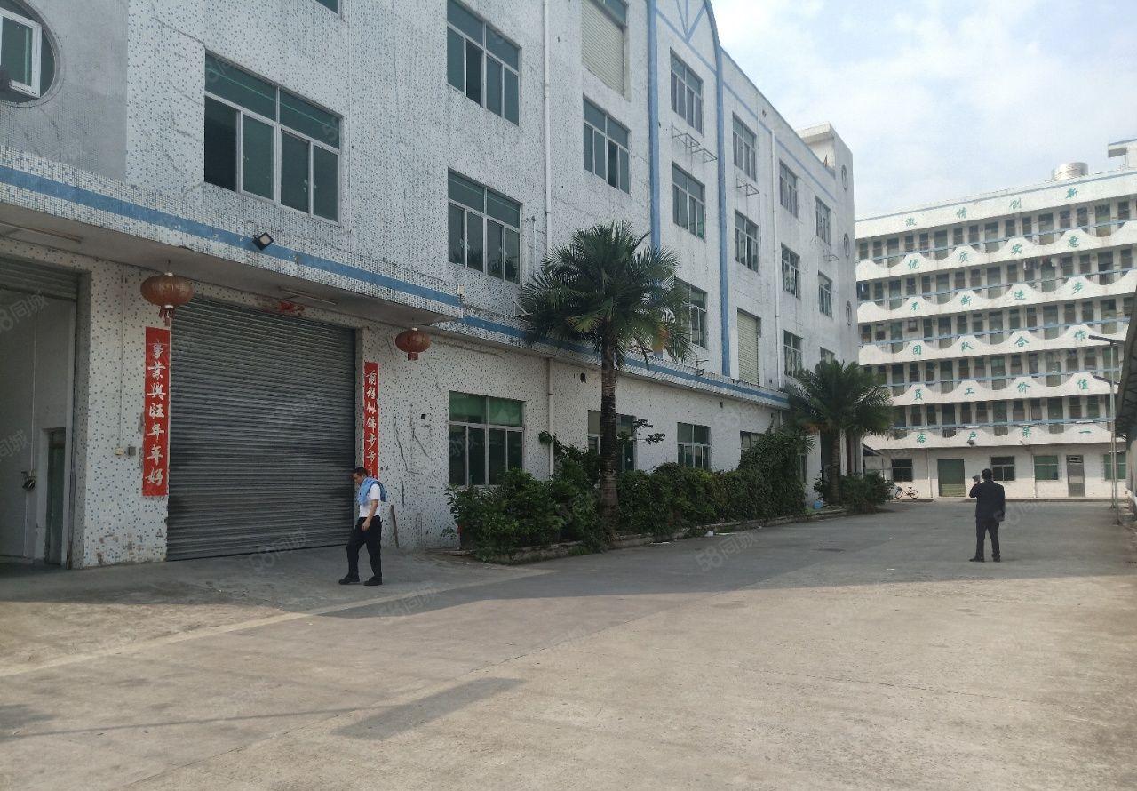 平湖新木工业园独院2百平5百平8百平1千平仓库厂房出租可分租