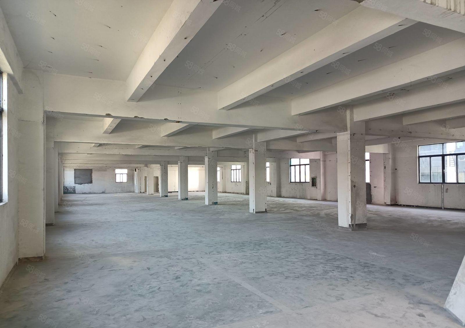 平湖华南城单层1781平米厂房业主招租高新技术产业园