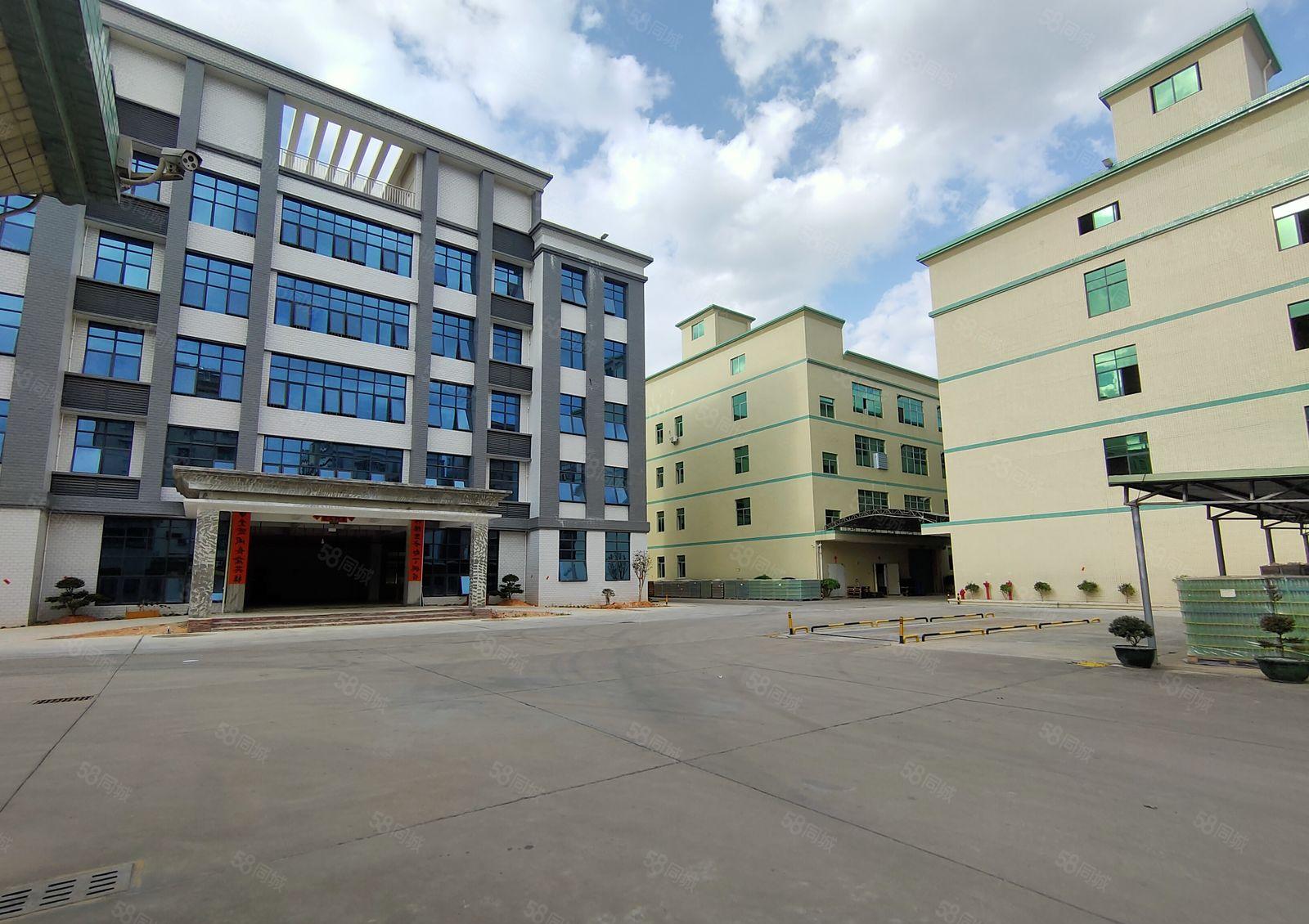 坂田上雪科技园2000平红本厂房仓库招租，带装修超大空地