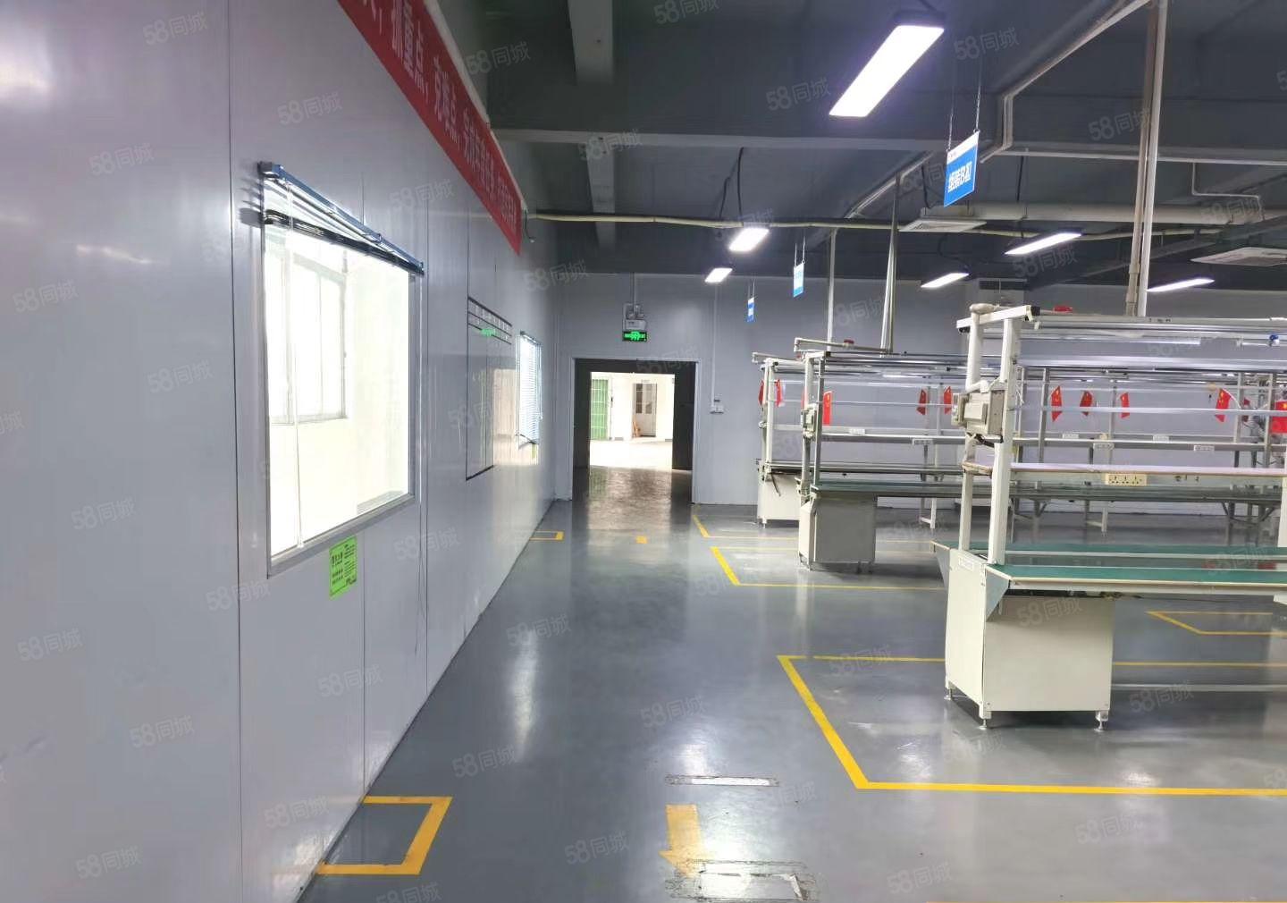 坂田五和天虹附近500平办公电商仓库厂房出租精装修